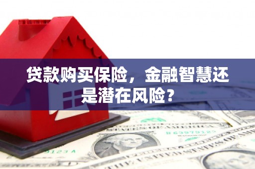 冬山贷款购买保险，金融智慧还是潜在风险？