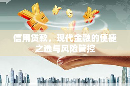 泉山信用贷款，现代金融的便捷之选与风险管控