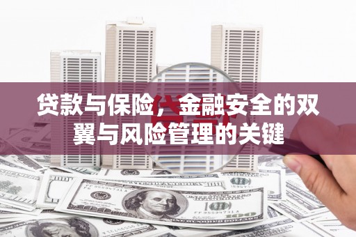 桑日贷款与保险，金融安全的双翼与风险管理的关键