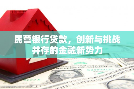 赵县民营银行贷款，创新与挑战并存的金融新势力