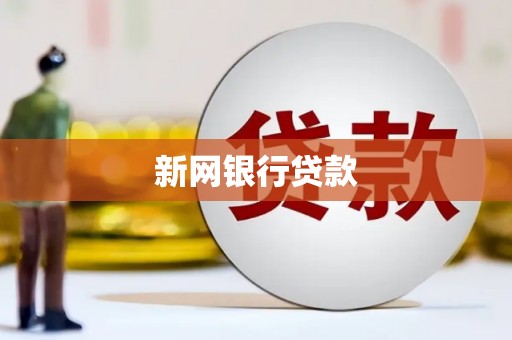 九原新网银行贷款