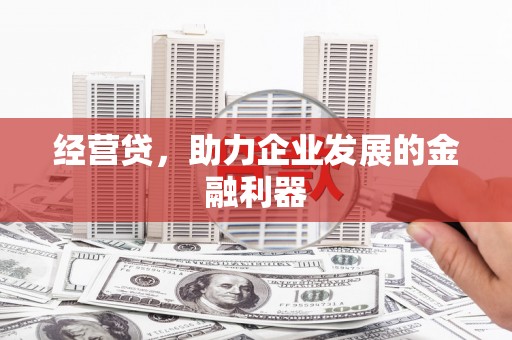 安阳经营贷，助力企业发展的金融利器