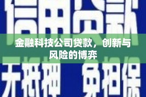 西峡金融科技公司贷款，创新与风险的博弈