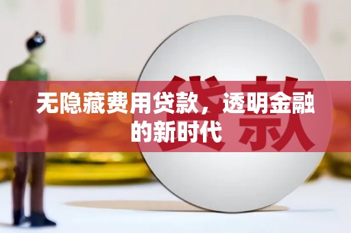 山上无隐藏费用贷款，透明金融的新时代