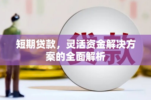 长洲短期贷款，灵活资金解决方案的全面解析
