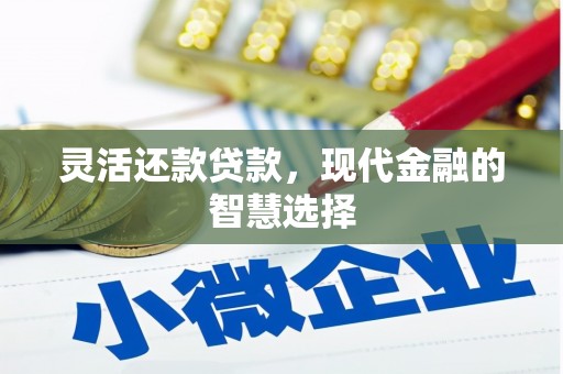 长洲灵活还款贷款，现代金融的智慧选择