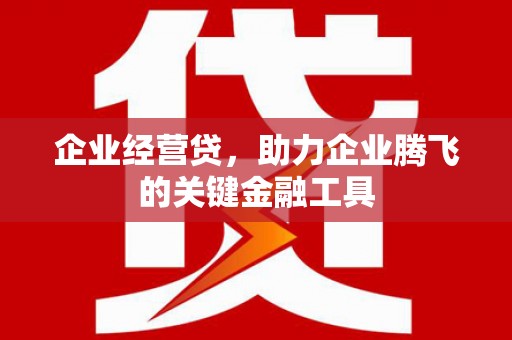 紫阳企业经营贷，助力企业腾飞的关键金融工具