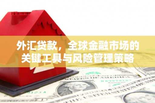 安阳外汇贷款，全球金融市场的关键工具与风险管理策略