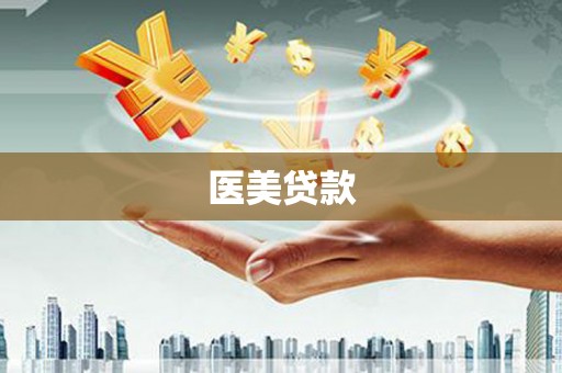 房县医美贷款