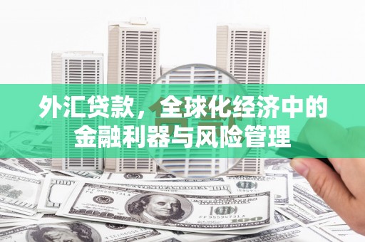 耒阳外汇贷款，全球化经济中的金融利器与风险管理