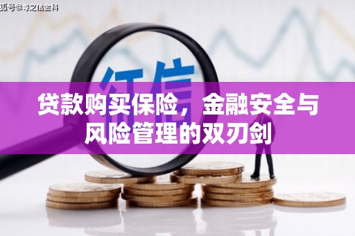 犍为贷款购买保险，金融安全与风险管理的双刃剑