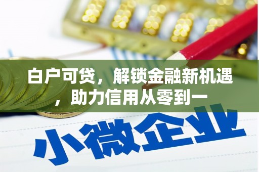 龙岗白户可贷，解锁金融新机遇，助力信用从零到一