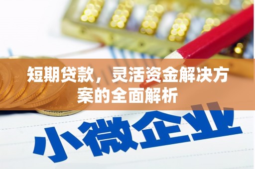 安仁短期贷款，灵活资金解决方案的全面解析