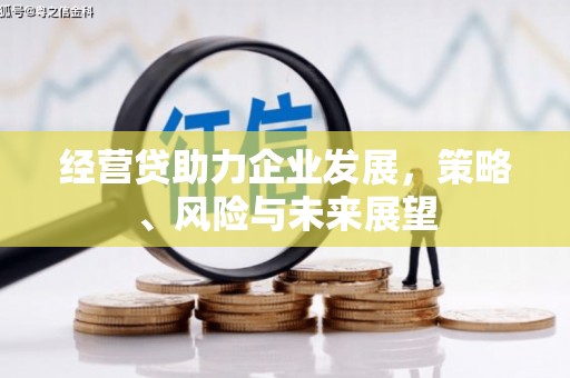 莱西经营贷助力企业发展，策略、风险与未来展望