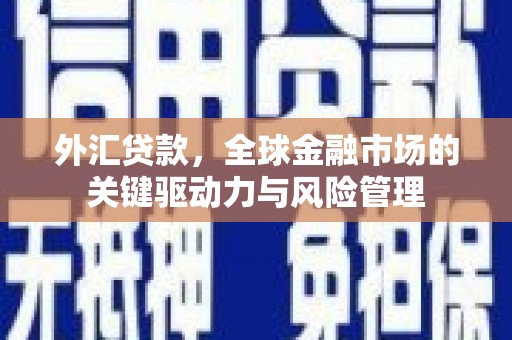泽普外汇贷款，全球金融市场的关键驱动力与风险管理