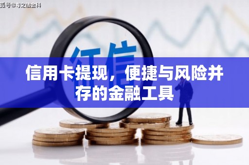 九台信用卡提现，便捷与风险并存的金融工具