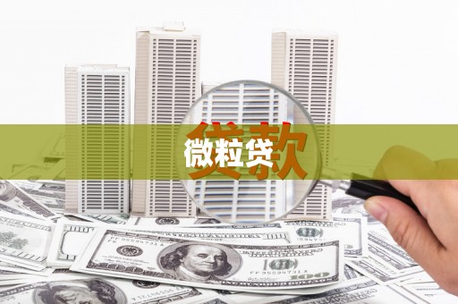 峡江微粒贷