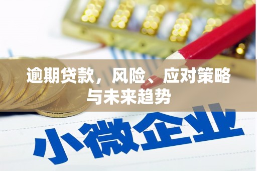 罗东逾期贷款，风险、应对策略与未来趋势
