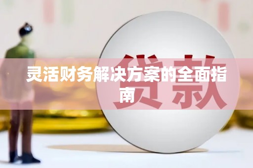 龙城灵活财务解决方案的全面指南