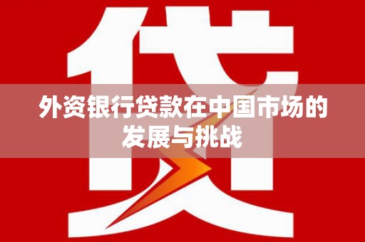 濮阳外资银行贷款在中国市场的发展与挑战