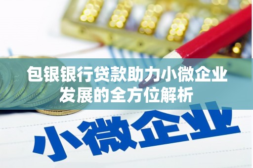湖西包银银行贷款助力小微企业发展的全方位解析