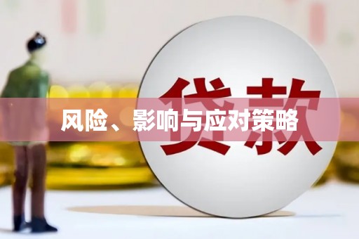 锦州风险、影响与应对策略