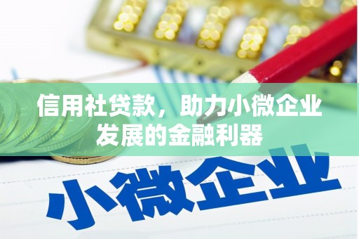 新北信用社贷款，助力小微企业发展的金融利器