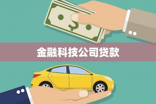 天河金融科技公司贷款