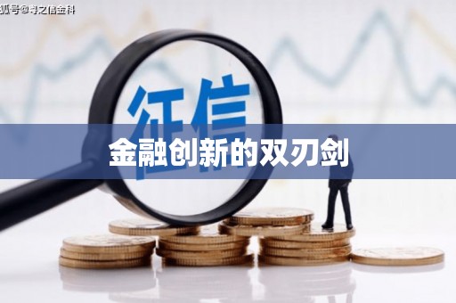 维西金融创新的双刃剑