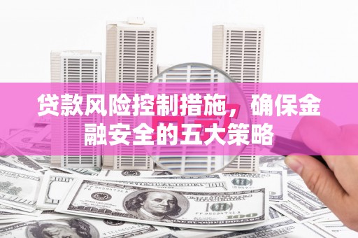 修文贷款风险控制措施，确保金融安全的五大策略