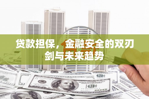 项城贷款担保，金融安全的双刃剑与未来趋势