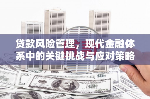 虞城贷款风险管理，现代金融体系中的关键挑战与应对策略