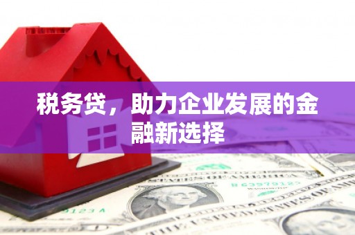 曾都税务贷，助力企业发展的金融新选择