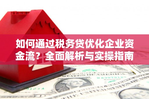 泸水如何通过税务贷优化企业资金流？全面解析与实操指南