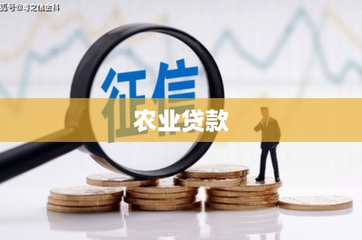 西吉农业贷款