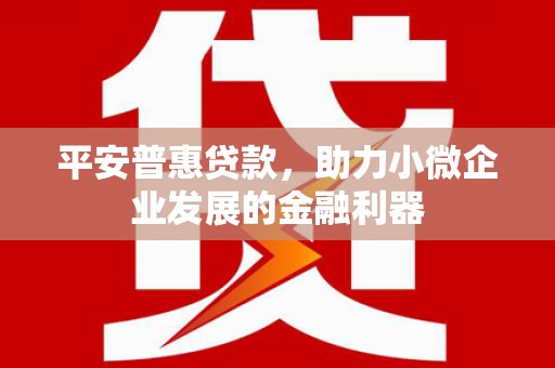 横沥平安普惠贷款，助力小微企业发展的金融利器