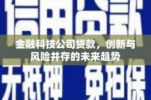 南宫金融科技公司贷款，创新与风险并存的未来趋势