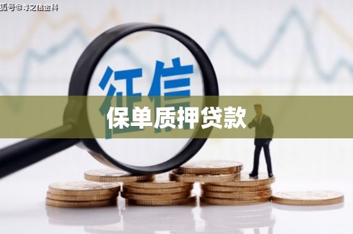 江华保单质押贷款