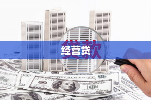 崖州经营贷