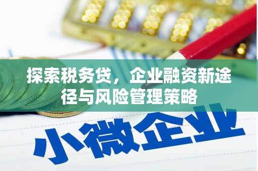 从化探索税务贷，企业融资新途径与风险管理策略