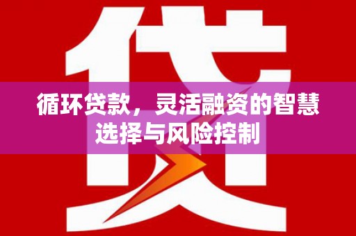 泗水循环贷款，灵活融资的智慧选择与风险控制