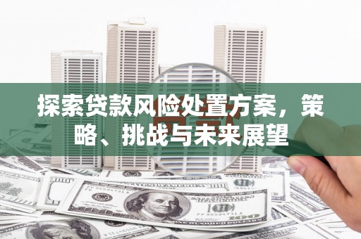 松溪探索贷款风险处置方案，策略、挑战与未来展望