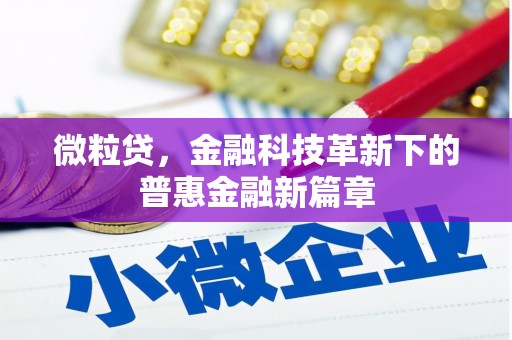 章贡微粒贷，金融科技革新下的普惠金融新篇章