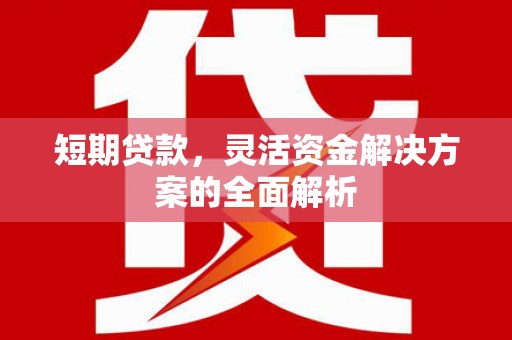 石冈短期贷款，灵活资金解决方案的全面解析