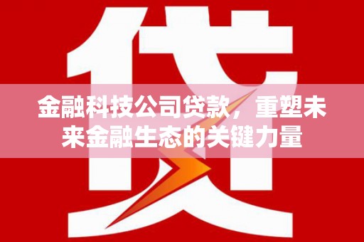 阿巴嘎旗金融科技公司贷款，重塑未来金融生态的关键力量