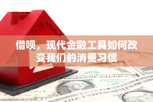 凤泉借呗，现代金融工具如何改变我们的消费习惯