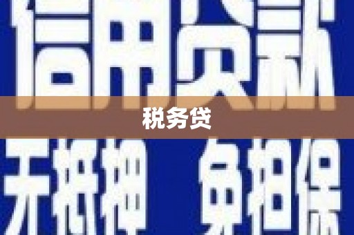 英德税务贷
