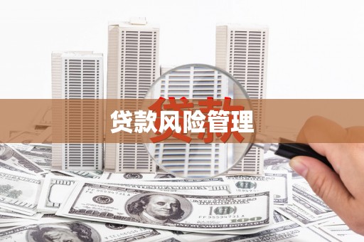 永嘉贷款风险管理