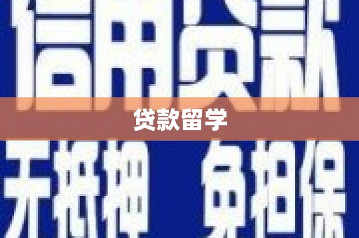 滨城贷款留学