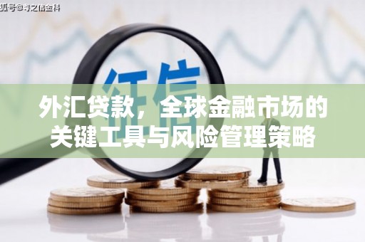广阳外汇贷款，全球金融市场的关键工具与风险管理策略